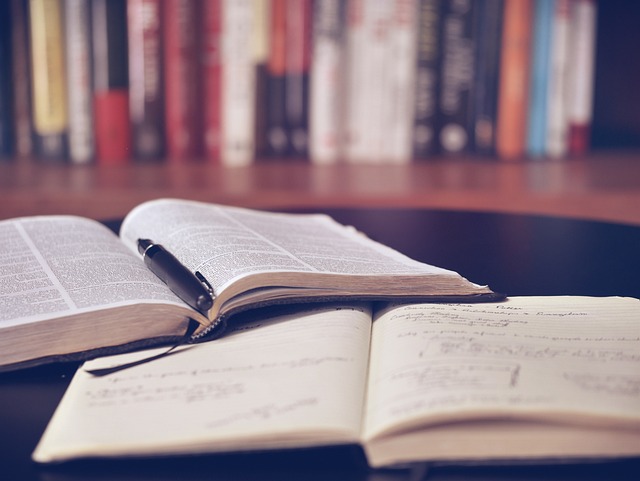 马来西亚思特雅大学优势专业