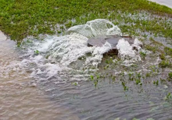 马来西亚思特雅大学专业怎么选？避坑指南来了